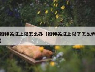 推特关注上限怎么办（推特关注上限了怎么弄）