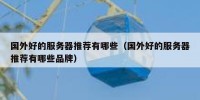 国外好的服务器推荐有哪些（国外好的服务器推荐有哪些品牌）