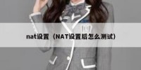 nat设置（NAT设置后怎么测试）