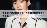 违反限行规定如何处罚（违反限行规定如何处罚上海）