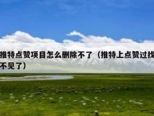 推特点赞项目怎么删除不了（推特上点赞过找不见了）