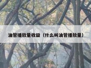 油管播放量收益（什么叫油管播放量）