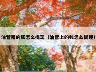 油管赚的钱怎么提现（油管上的钱怎么提现）