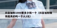 抖音加粉1000要多少钱一个（抖音加粉赚钱是真的吗一个人2元）