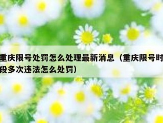 重庆限号处罚怎么处理最新消息（重庆限号时段多次违法怎么处罚）