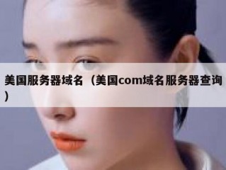 美国服务器域名（美国com域名服务器查询）