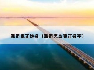 派币更正姓名（派币怎么更正名字）