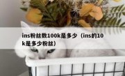 ins粉丝数100k是多少（ins的10k是多少粉丝）