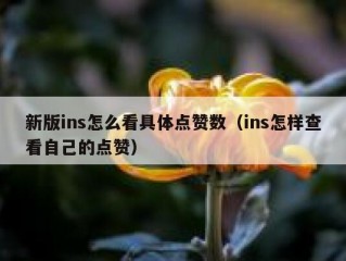 新版ins怎么看具体点赞数（ins怎样查看自己的点赞）