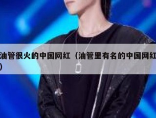 油管很火的中国网红（油管里有名的中国网红）