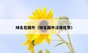域名在国外（域名国外注册优势）