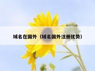 域名在国外（域名国外注册优势）