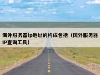海外服务器ip地址的构成包括（国外服务器IP查询工具）