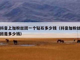 抖音上加粉丝团一个钻石多少钱（抖音加粉丝团是多少钱）
