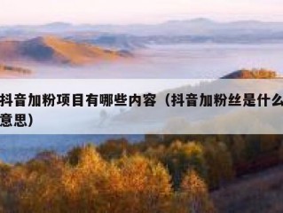 抖音加粉项目有哪些内容（抖音加粉丝是什么意思）