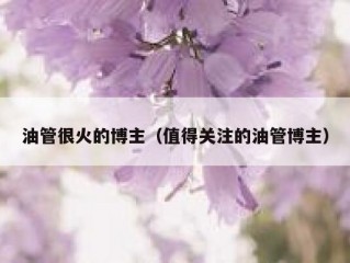 油管很火的博主（值得关注的油管博主）