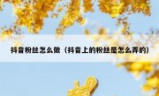 抖音粉丝怎么做（抖音上的粉丝是怎么弄的）