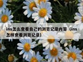 ins怎么查看自己的浏览记录内容（ins怎样查看浏览记录）