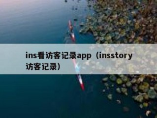 ins看访客记录app（insstory访客记录）