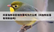 抖音加粉会影响权重吗为什么呢（抖加粉丝是有效粉丝吗）