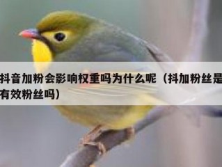 抖音加粉会影响权重吗为什么呢（抖加粉丝是有效粉丝吗）