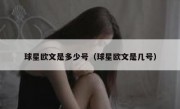 球星欧文是多少号（球星欧文是几号）