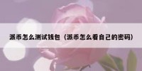 派币怎么测试钱包（派币怎么看自己的密码）