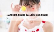 ins如何查看大图（ins如何点开看大图）