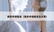 派币手动验证（派币手动验证怎么弄）