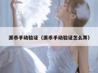 派币手动验证（派币手动验证怎么弄）
