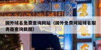 国外域名免费查询网站（国外免费网站域名服务器查询截图）