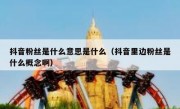 抖音粉丝是什么意思是什么（抖音里边粉丝是什么概念啊）