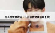 什么加赞赏成语（什么加赞赏成语四个字）