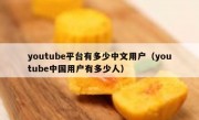 youtube平台有多少中文用户（youtube中国用户有多少人）