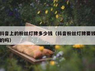 抖音上的粉丝灯牌多少钱（抖音粉丝灯牌要钱的吗）