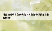 抖音加粉项目怎么做的（抖音加粉项目怎么做的视频）