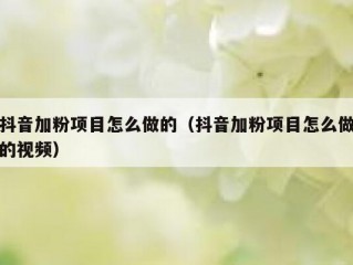 抖音加粉项目怎么做的（抖音加粉项目怎么做的视频）