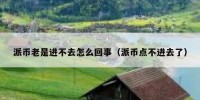 派币老是进不去怎么回事（派币点不进去了）