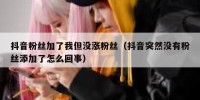 抖音粉丝加了我但没涨粉丝（抖音突然没有粉丝添加了怎么回事）