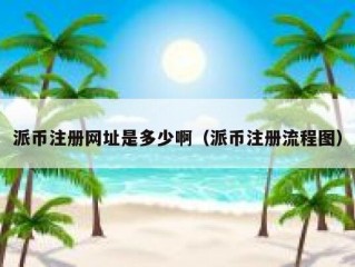 派币注册网址是多少啊（派币注册流程图）