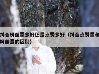 抖音粉丝量多好还是点赞多好（抖音点赞量和粉丝量的区别）