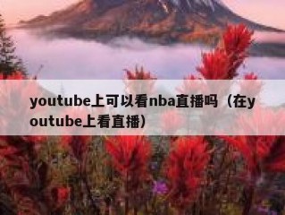 youtube上可以看nba直播吗（在youtube上看直播）