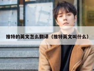 推特的英文怎么翻译（推特英文叫什么）