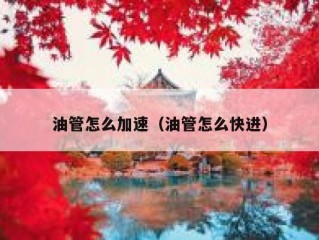 油管怎么加速（油管怎么快进）