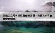 微信公众号粉丝数量在哪里看（微信公众号查看粉丝数量）
