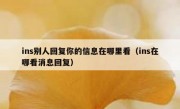 ins别人回复你的信息在哪里看（ins在哪看消息回复）