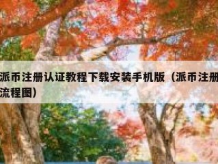派币注册认证教程下载安装手机版（派币注册流程图）