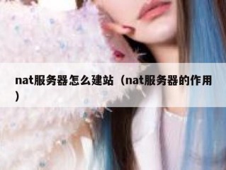 nat服务器怎么建站（nat服务器的作用）