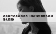 派币软件进不去怎么办（派币钱包加载不出来什么原因）