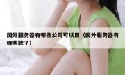 国外服务器有哪些公司可以用（国外服务器有哪些牌子）